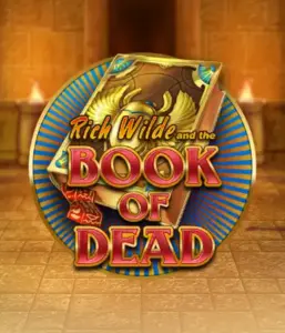 Погрузитесь в захватывающий мир Book of Dead от Play'n GO, демонстрирующий яркую графику приключений Рича Уайлда по древнеегипетским гробницам и артефактам. Найдите затерянные богатства с захватывающими механиками, такими как бесплатные вращения, расширяющиеся иконки и возможность игры на риск. Идеально для тех, кто ищет приключений, желающих волнующих находок.